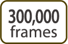 300000 frames con pile AA
