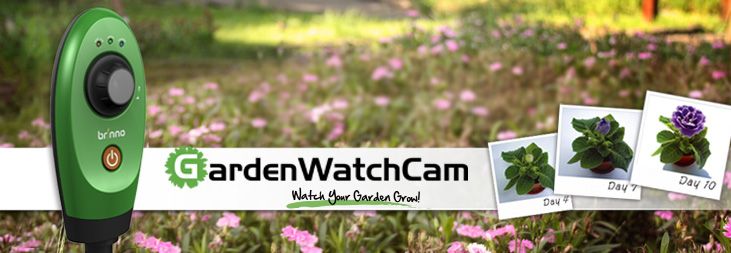 Garden Watch Cam
